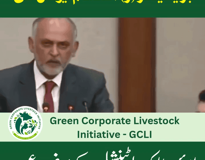 چیف آپریٹنگ آفیسر جی سی ایل آئی وزیراعظم ہاؤس میں منعقدہ قومی سیمینار سے خطاب کر رہے ہیں۔