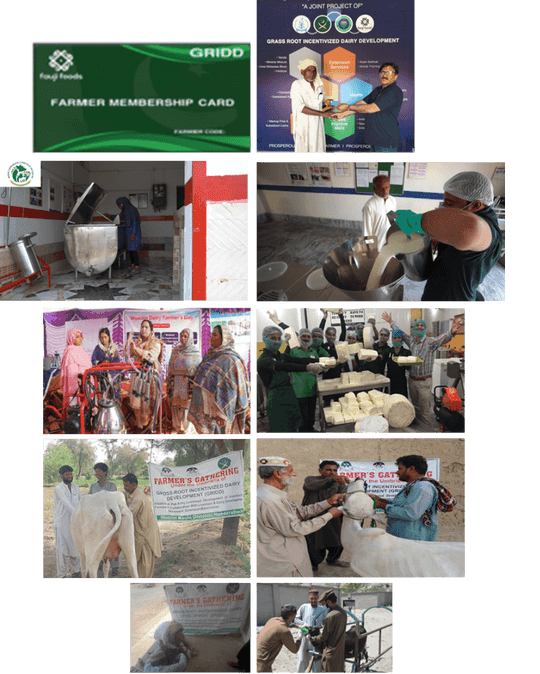GRIDD Farmers