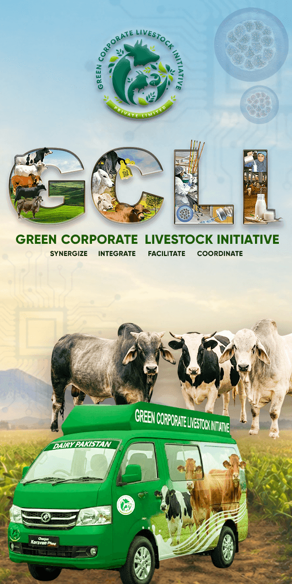 GCLI