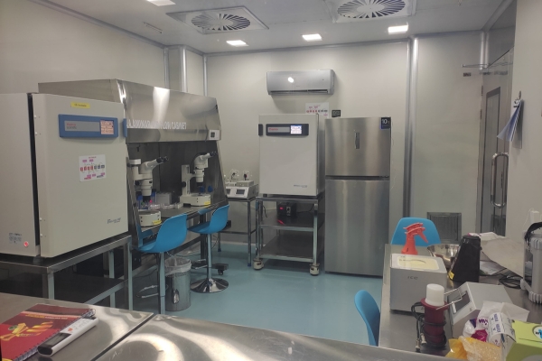 IVF Laboratory